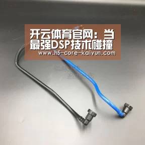 开云体育网站