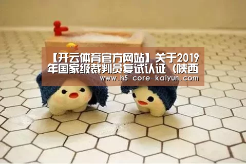 开云体育官方网站