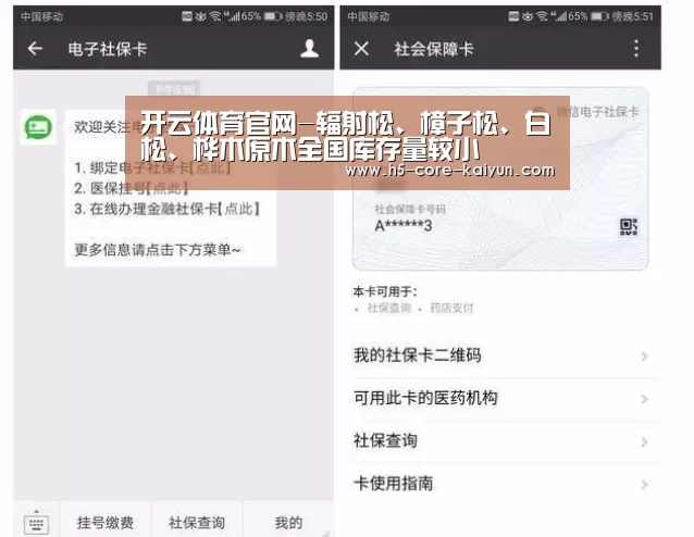 开云体育官方网站