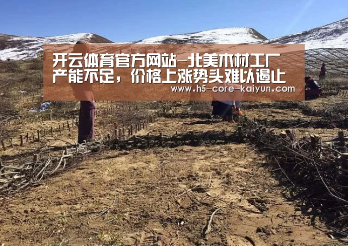 开云体育官方网站-北美木材工厂产能不足,价格上涨势头难以遏止(图2) 开元体育