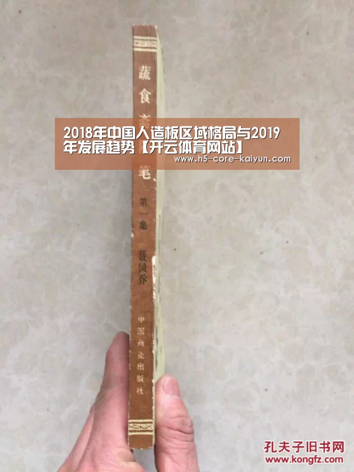 开云体育网站