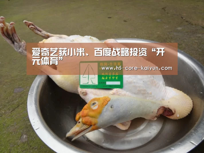 开元体育