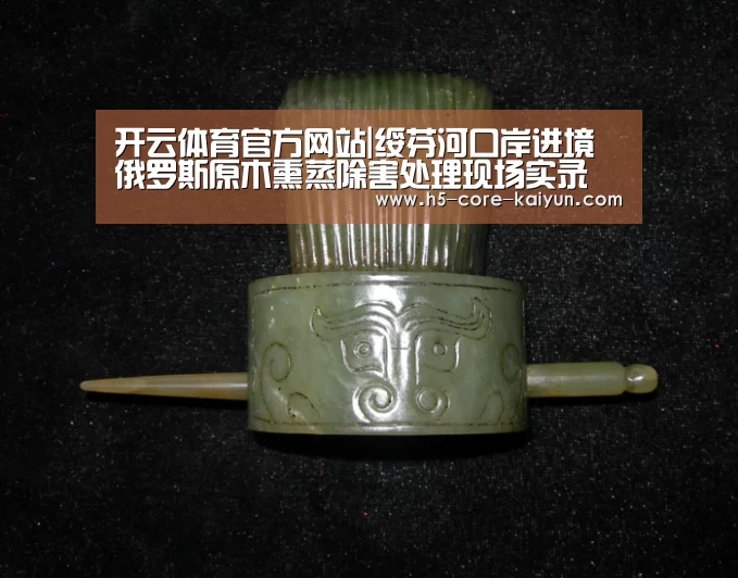 开云体育官方网站