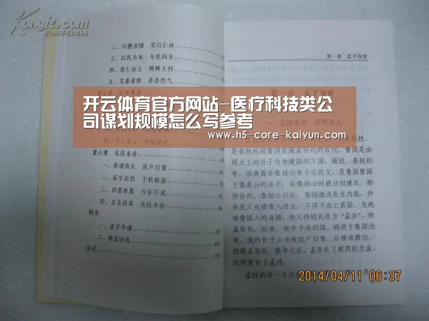 开云体育官方网站-医疗科技类公司谋划规模怎么写参考(图1) 开云体育官网