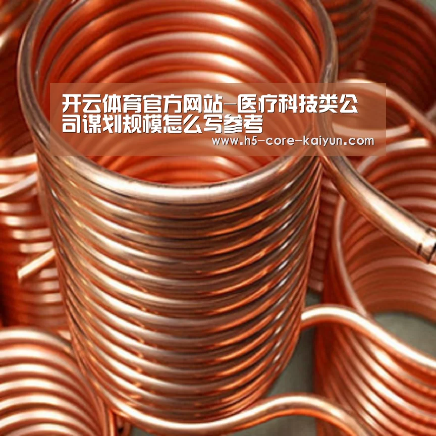 开云体育官方网站-医疗科技类公司谋划规模怎么写参考(图4) 开云体育网站