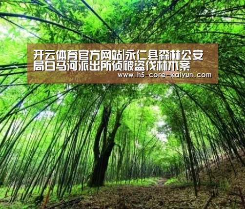 开云体育官方网站