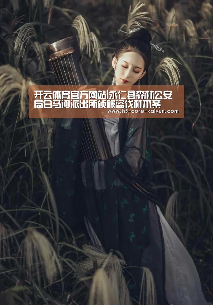 开云体育官网