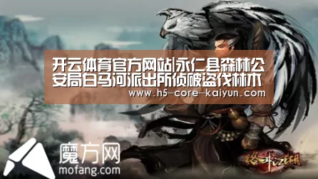 开云体育网站