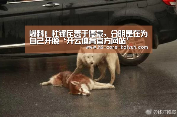 爆料!杜锋斥责于德豪,分明是在为自己开脱‘开云体育官方网站’(图3) 开云体育官方网站