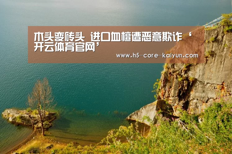 木头变砖头 进口血檀遭恶意欺诈‘开云体育官网’(图1) 开云体育官方网站
