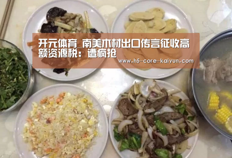 开云体育官网