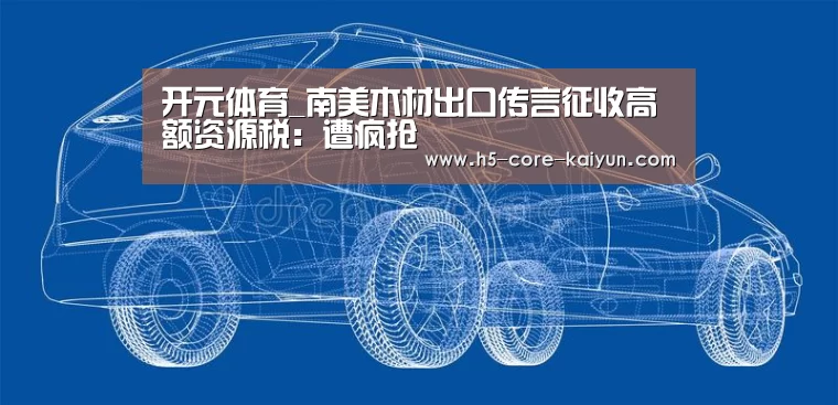 开云体育官方网站