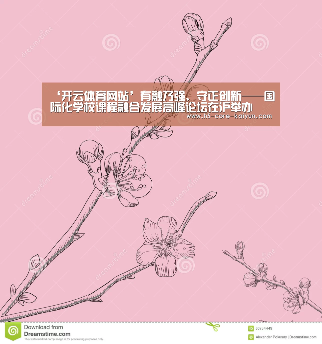 开云体育官方网站