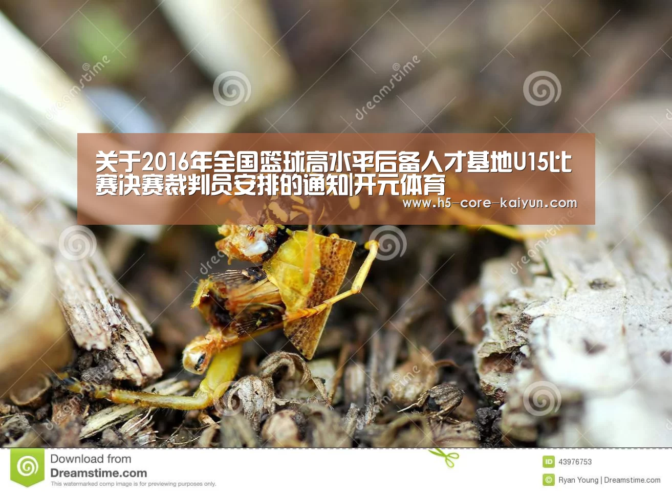 关于2016年全国篮球高水平后备人才基地U15比赛决赛裁判员安排的通知|开元体育(图2) 开云体育官方网站