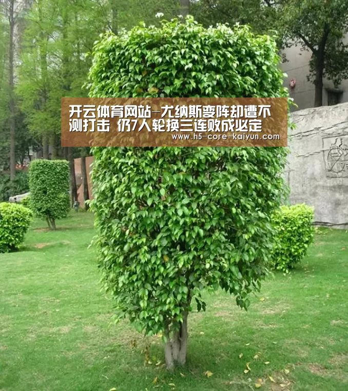开云体育网站
