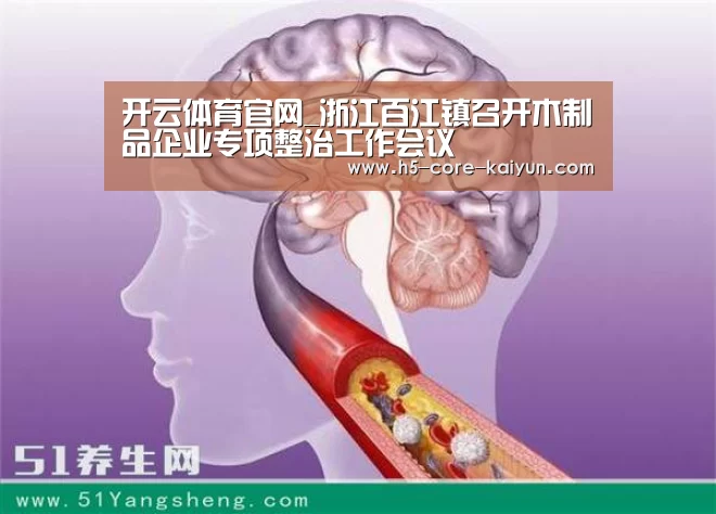 开云体育官网_浙江百江镇召开木制品企业专项整治工作会议(图3) 开云体育网站